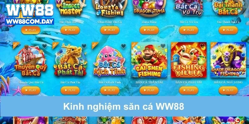 Mẹo chơi từ chuyên gia săn cá giúp tân thủ