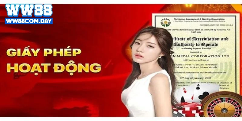 Tổng hợp giấy phép